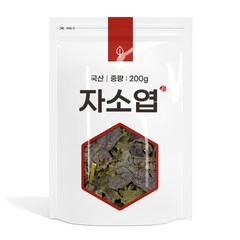 자소엽