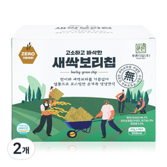 푸른디딤 새싹보리칩, 240g, 2개