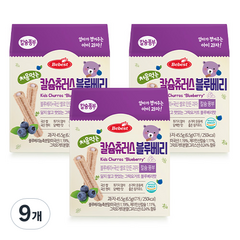 베베스트 처음먹는 칼슘 츄러스, 블루베리맛, 9개, 45.5g