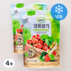 뉴뜨레 국내산 딸기 (냉동), 1kg, 4개