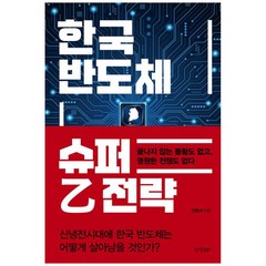 한국 반도체 슈퍼 을 전략, 경향비피, 전병서