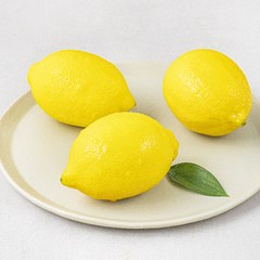 다조은 칠레산 레몬 3개입, 1개, 350g(3입)