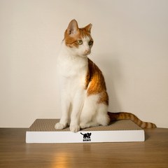 차즈마켓 고양이 베이직 스크래쳐 평판형, 화이트, 1개