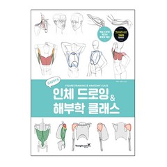 새삐의 인체 드로잉 & 해부학 클래스, 영진닷컴, 새삐(이서은)