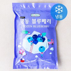 웰프레쉬 칠레산 블루베리 (냉동), 1kg, 1팩