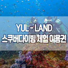 [제주] 서귀포 율랜드 스쿠버 체험다이빙