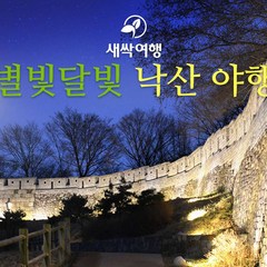 [서울] 새싹 별빛 달빛 낙산 야행(별달여행)