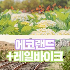 [제주] 제주 에코랜드+레일바이크