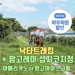 [제주] (♥혜택관광지+1♥) 낙타트래킹