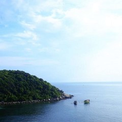 [베트남, 다낭] [투어] 참섬 럭셔리 스노클링&씨워킹 :: 베트남/다낭