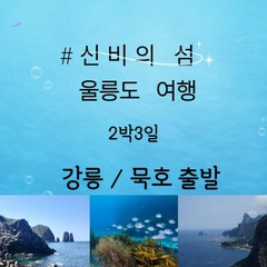 [울릉도] [강릉/묵호 出] 2박3일 울릉도여행 ★실속★