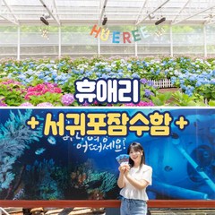 [제주] 제주 휴애리+서귀포잠수함