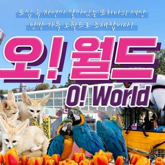 [대전] 오월드 자유이용권
