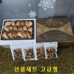 곡성 참송이버섯 선물세트/부모님 생일선물, 1박스, 선물세트-고급형