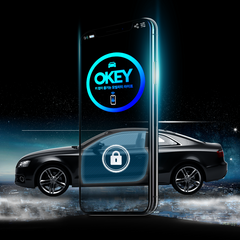 만도 오키 OKEY 최신 오토도어 디지털 스마트키 차키없이 스마트폰으로 차량 제어/자동차키 무한 공유, 조견표호환차종 및 기타국산차종, 1개