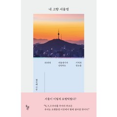 내 고향 서울엔:82년생 서울내기가 낭만하는 기억과 장소들, 돌베개, 황진태