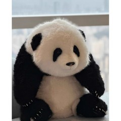팬더 인형 푸바오 아이바오 러바오 판다 인형 장난감 생일 발렌타인 데이 선물, 5개월 된 멩란 모델