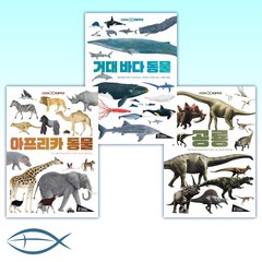 [보림 아트 사이언스] ZOOM 동물 백과 - 공룡 + 거대 바다 동물 + 아프리카 동물 (전3권)