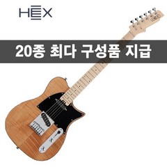 [20가지사은품]HEX 헥스 일렉기타 텔레 T200 SG/NT