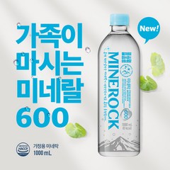 스마트 물처럼 마시는 미네랄 미네락600 1000ml, 10개