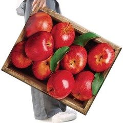 FASEN 액자 캔버스형보석십자수 DIY세트 라운드 비즈 40 X 50cm, FSE22.붉은 사과, 1세트