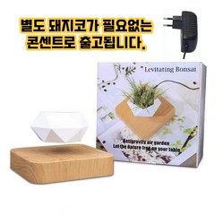 공중부양 자기부상 다육이 화분 분재 선물 인테리어 꿀딩즈, 브라운