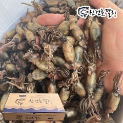 신건호멸치 국산 햇 먹물꼴뚜기 / 밑반찬 술안주 건꼴뚜기 먹꼴뚜기, 1kg, 1box