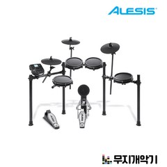 알레시스 입문용 메쉬 전자드럼 ALESIS Electronic Drum Nitro Mesh Kit