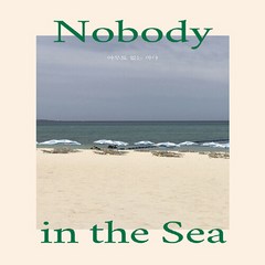NSB9791195704651 새책-스테이책터 [아무도 없는 바다] -Nobody in the Sea--도어스프레스-최유수 지음-한국에세이-2017071, 아무도 없는 바다