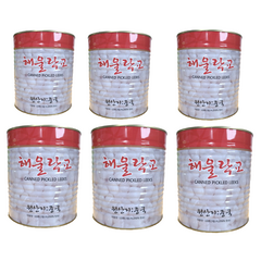 삼도 해울 락교 3S 2S 3kg X 6통 1박스 [삼도식품], 2S 락교, 6개