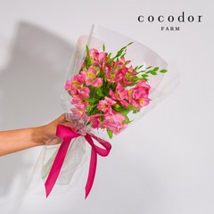 [코코도르팜] 알스트로메리아 핑크 꽃다발, 01_생화/알스트로메리아 핑크 꽃다발