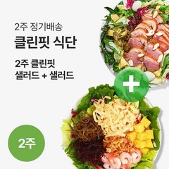 [포켓샐러드] 클린핏 2주 샐러드 식단 (24팩), 240g, 24팩