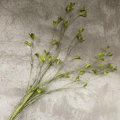 모방 춘추 용수엽 화원 정원 식물 화훼 분재 사진 촬영 장식 장식품, 황록색, 1개