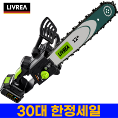 LIVREA 독일기술 전기톱 고출력 무선 충전식 세트 소형 미니 체인 날 전동, 12인치 전기톱+일반배터리, 1개