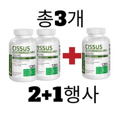 Bronson 브론슨 (2+1행사) Cissus 시서스 가루 고농축 캡슐 다이어트 보조제 3병 360캡슐, 3개, 360정