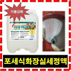 라임환경 파인포스 알파 포세식 화장실 세정액 거품 변기세정제, 1개, 10L