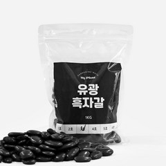 마이플랜트 유광흑자갈 1kg 3kg 5kg, 4호(20~40mm), 1개