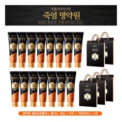 [명약원] [기프트패키지] LG 골든프로폴리스 플러스 치약 120g*15개 + 기프트박스5, 상세 설명 참조