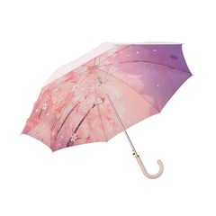 스타벅스 벚꽃 우산 여성 장우산 봄 감성 선물용