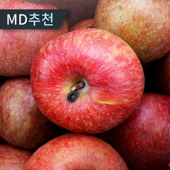 달농 경북 흠집 못난이 부사사과 계절 주스용 사과, 5kg 랜덤과(13-35과), 1개
