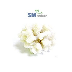 SM 인조 꽃산호 [흰색] 1491W, 단품