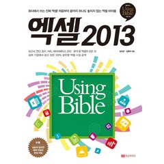 엑셀 2013 Using Bible, 황금부엉이