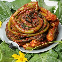 맛있는갓김치 여수 돌산 갓김치 택배 5kg 종말이 곽진영 맛집, 1개