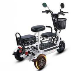 삼륜 유아동승 전기 자전거 등하원 강아지 전동 팻 애견 3륜 중국, 48V, 화이트 3인용 + 30Ah 리튬 배터리