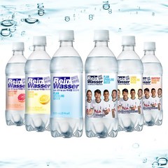 라인바싸 플레인 탄산수, 500ml, 40개