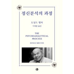 정신분석의 과정, 널드 멜처 저, 현대정신분석연구소