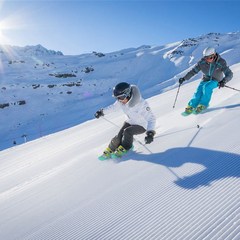 숏 미니 스키 인라인 MiniSki 스키에이트 스키플레이트, (38-44㎝), 2.업그레이드 그린