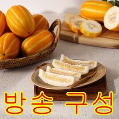 [방송구성] 농협 성주 꿀참외 5kg(10~17과), 1개