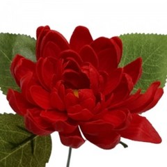 [감성 비누꽃] 비누다알리아 - 빨강 (25개 1세트) - 비누꽃 만들기 조화 꽃다발 부케 원데이클래스 스냅촬영 소품