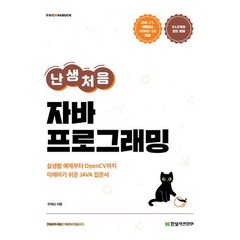 난생처음 자바 프로그래밍:실생활 예제부터 OpenCV까지 이해하기 쉬운 JAVA 입문서, 한빛아카데미